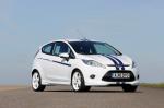 Ford Fiesta S1600 2010 года